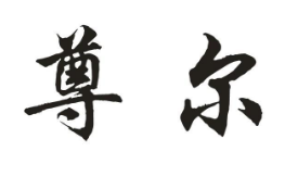 优质商标转让“尊尔”以及相似商标转让推荐