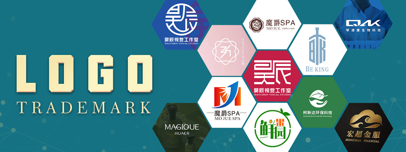 春风里的创业力量：破局、深耕、协作与厚积薄发